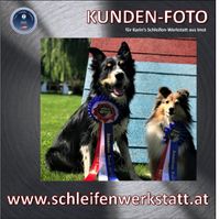 DogMotion American Rush_Siegerschleifen_Karin&#039;s Schleifen-Werkstatt